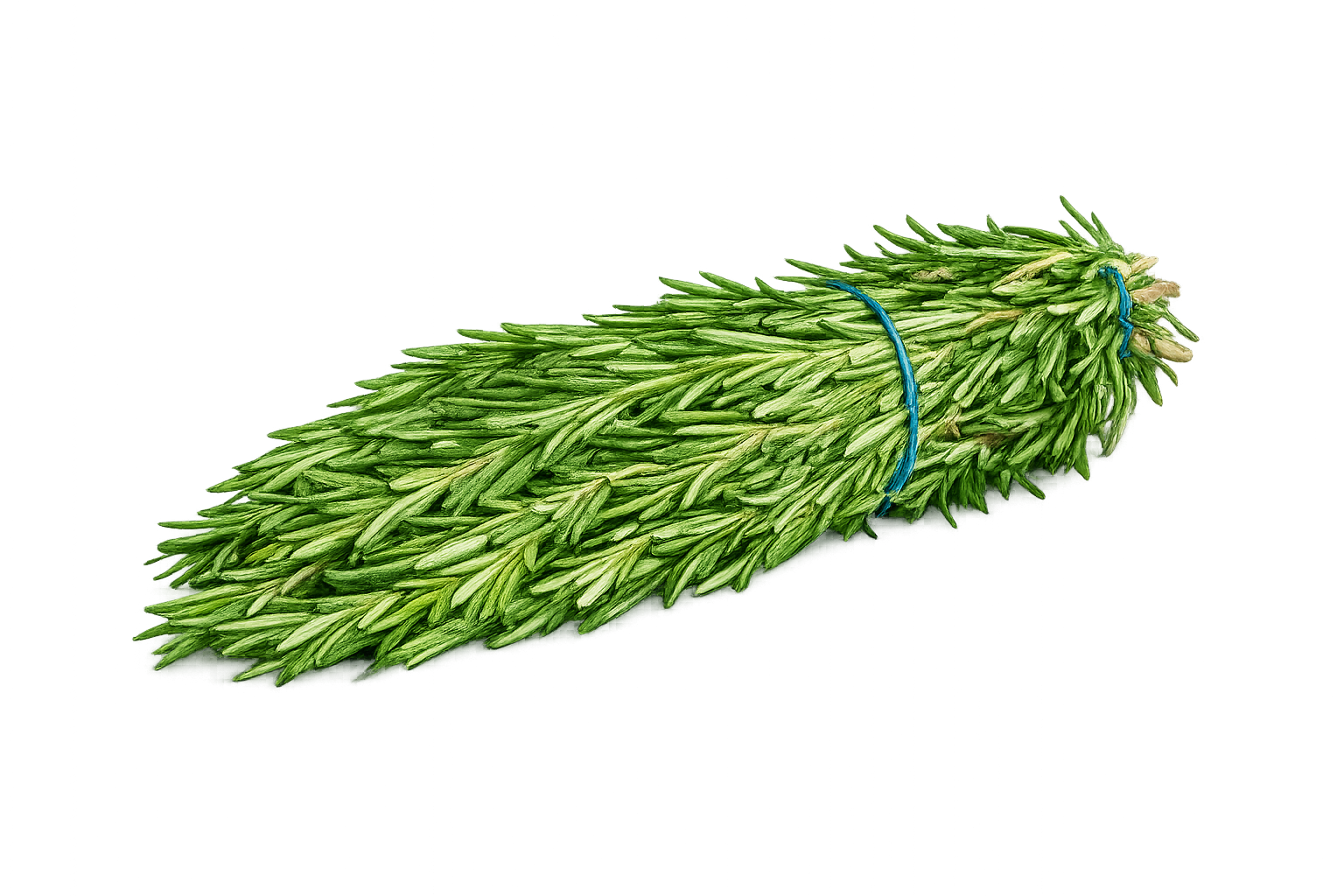 Fresh Rosemary